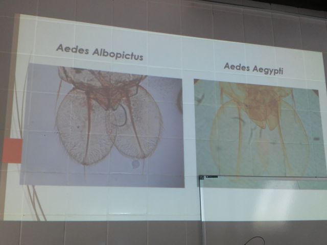 Semana de aulas práticas sobre o Aedes aegypti no Campus Ibatiba