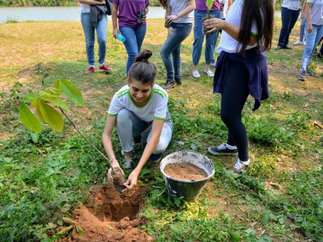 Rede de Educadores Ambientais do Ifes promove mutirão de plantio de árvores